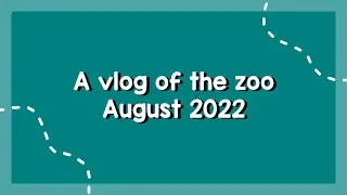 A vlog of the zoo (August 2022)
