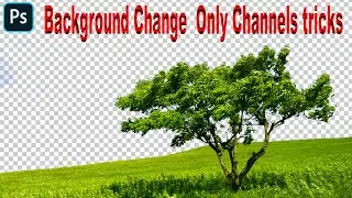 Photoshop Cut Out Techniques - Difficult Selections Made FAST and EASY |Photoshop Effects 2020