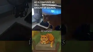 Cat Day in vampire game Cabernet