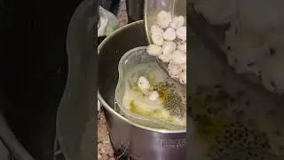 Secret 🤫 cooking 🧑‍🍳 in hotel 🏨 room 😋video on channel 👍