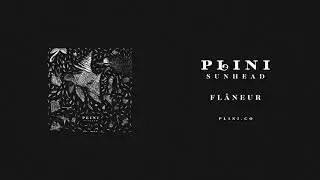 Plini – Flâneur (Audio)