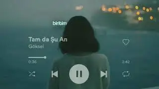 Göksel Tam da Şu An lyrics video