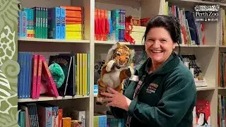Karen's purr-fect day with our Lioness sisters!