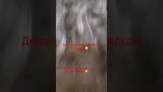 #Марта Добрая#
