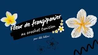 Tuto fleur de frangipanier au crochet tunisien - facile
