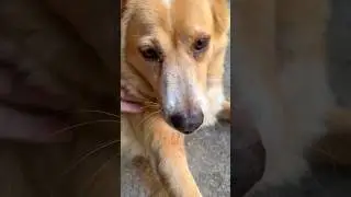 Те, кого я поздравил с нг сегодня в живую 🤗