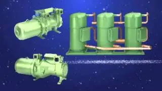 Schiessl BITZER AHR 2010 Company Overview