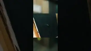 Санузел в бревенчатом доме. (1)