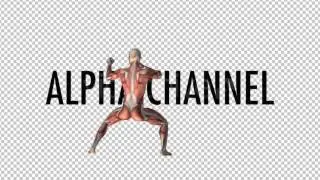 Fight Club - Muscles Map - Combo #3