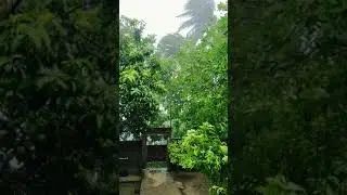 Video make inside Home (Amphan Supercylone)