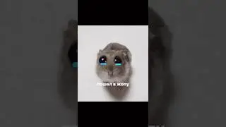 Присоединяйся в место силы всех творческих!