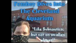 Femboy Dives Into The Cleveland Aquarium!