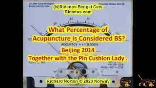 Acupuncture pin cushion lady