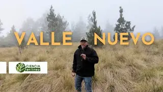 VALLE NUEVO, UN TESORO  DE LA NATURALEZA EN REPÚBLICA DOMINICANA