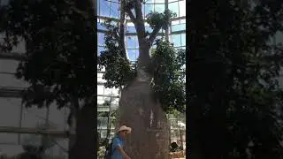 ngày 16 tháng 12, 2020