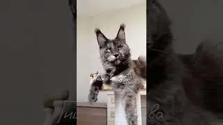 Эдит Мейн-кун💞🔥