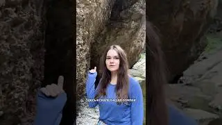 Наконец-то нашла гнездо оляпки