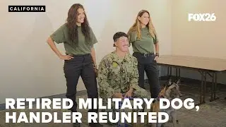 Retired military dog, handler reunited at last — and for good