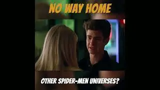 What Happened In The Other Spiderman Universes In Spiderman No Way Home
