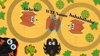 IM STUCK IN ARENA (Glitch in Mope) // BLACK DRAGON & SCORPION GAMEPLAY