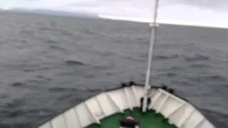 Т/х Гипанис. Шторм ч6