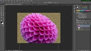 ESTEREOGRAMA OLHO MÁGICO QUALQUER VERSÃO DO PHOTOSHOP  VÍDEO 1