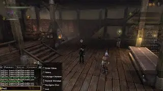 Neverwinter How To Get Preview Access PS4/5