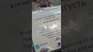 коробочка помощи в зоомагазине