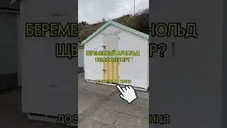 #шварценеггер