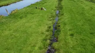 mijn streek de Zaanstreek (2)