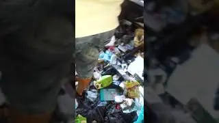Идём на заброшку