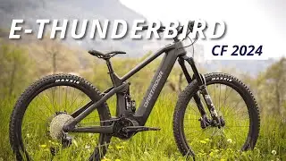 Dartmoor E-Thunderbird CF