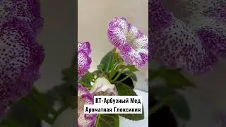 25 апреля 2023 г.