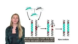 Gene Drives: Mechanisms and Key Research, Explained
