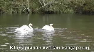 Ҡыр ҡаҙҙары. Караоке башҡортса һүҙҙәр менән. Фидан Ғафаров башҡара.