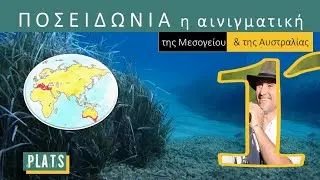 The enigmatic Posidonia of the Mediterranean and Australia!