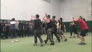 Ensayo Equipo Stunt 27/11/2019