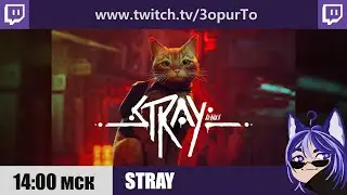 Stray | №1 | Поздние приключения котика