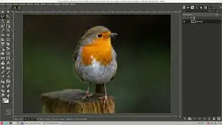 Gimp Eğitimleri - 14 (Serbest Seçim Aracı)