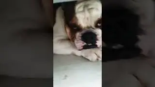 #незнаючтописать