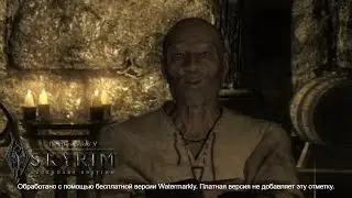 КРЫСА, ЗАГНАННАЯ В УГОЛ #70 "The Elder Scrolls V: Skyrim"