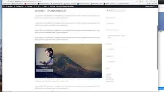 Parallax Wordpress Visual Composer - Team module instructions
