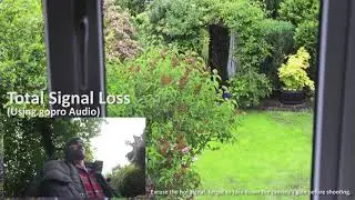 Rode Wireless GO Test