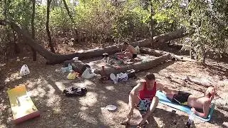 Лесные зарисовки