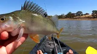 Cracking The Code fishing At Lake Eppalock