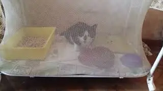 Мотя приехал из клиники