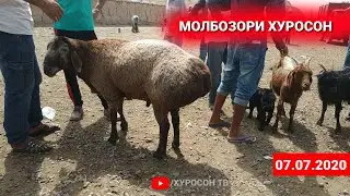 МОЛБОЗОРИ ХУРОСОН 7.07.2020 нархи буқа ва гуспанду буз