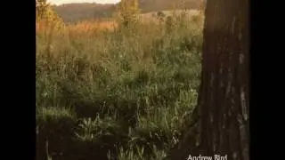 Andrew Bird - Effigy