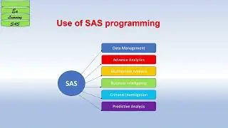 What is SAS ?