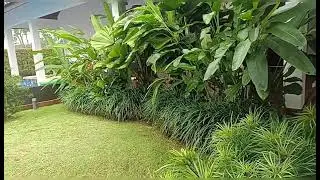 Adopt the peace of Nature #relaxing nature